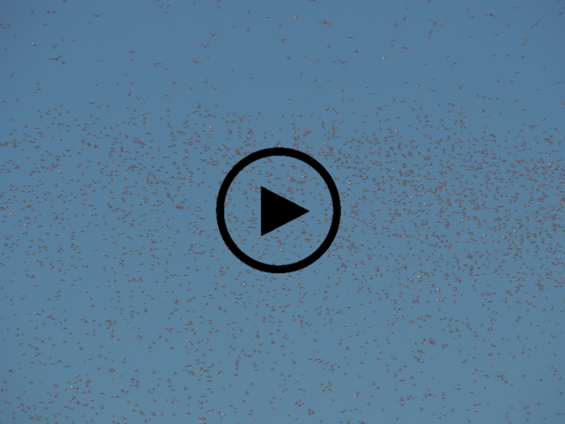 end-of-the-world.png