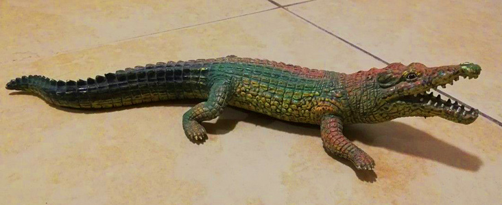 Alligator.jpg