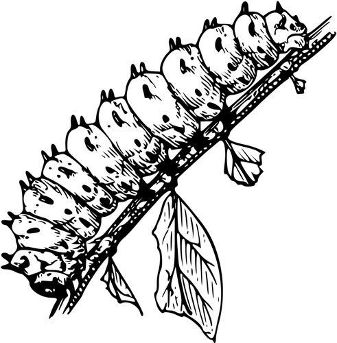 caterpillar.png