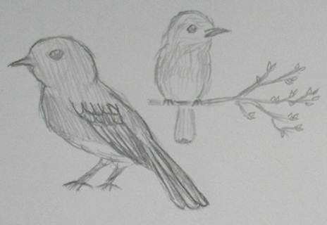 Tyjhabird.jpg