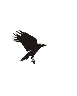 fly1.png