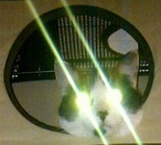 newkitty