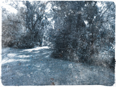 path.jpg