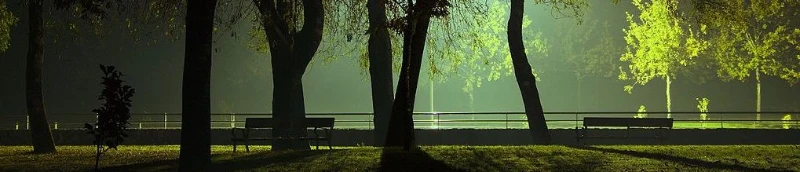 park.webp