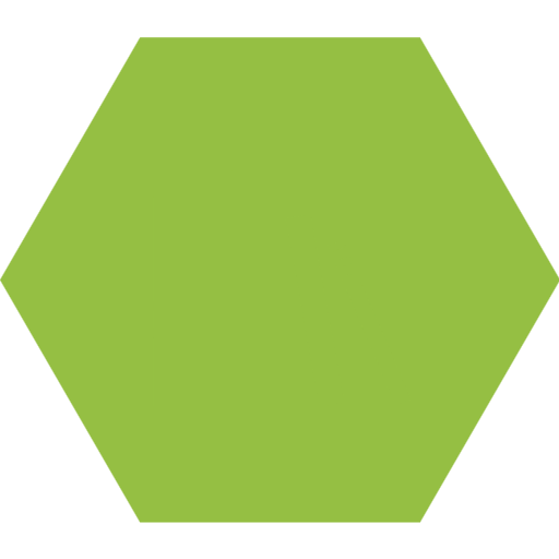 A green hexagon.