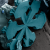 snow.png