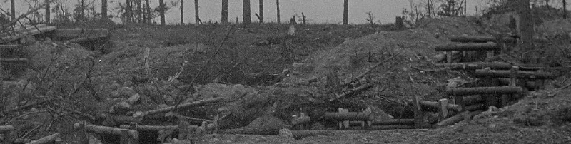 trenches.webp