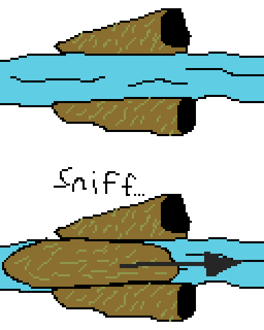 crowriver.png