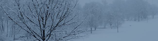 snow2.png