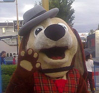 Bear.jpg