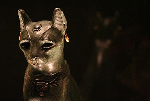 Cat049.jpg