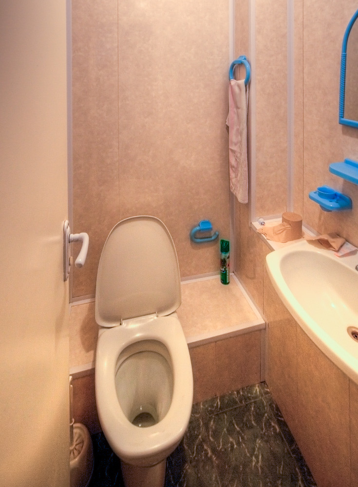 totoiletpic.jpg