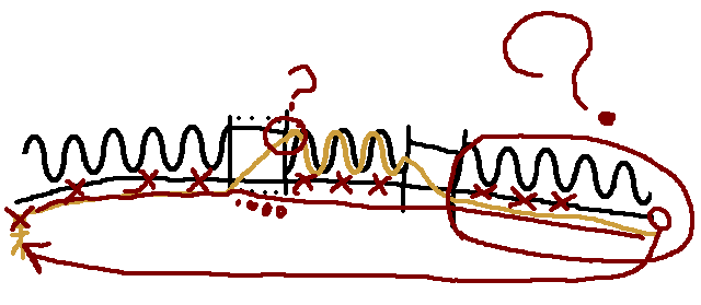 D11.PNG