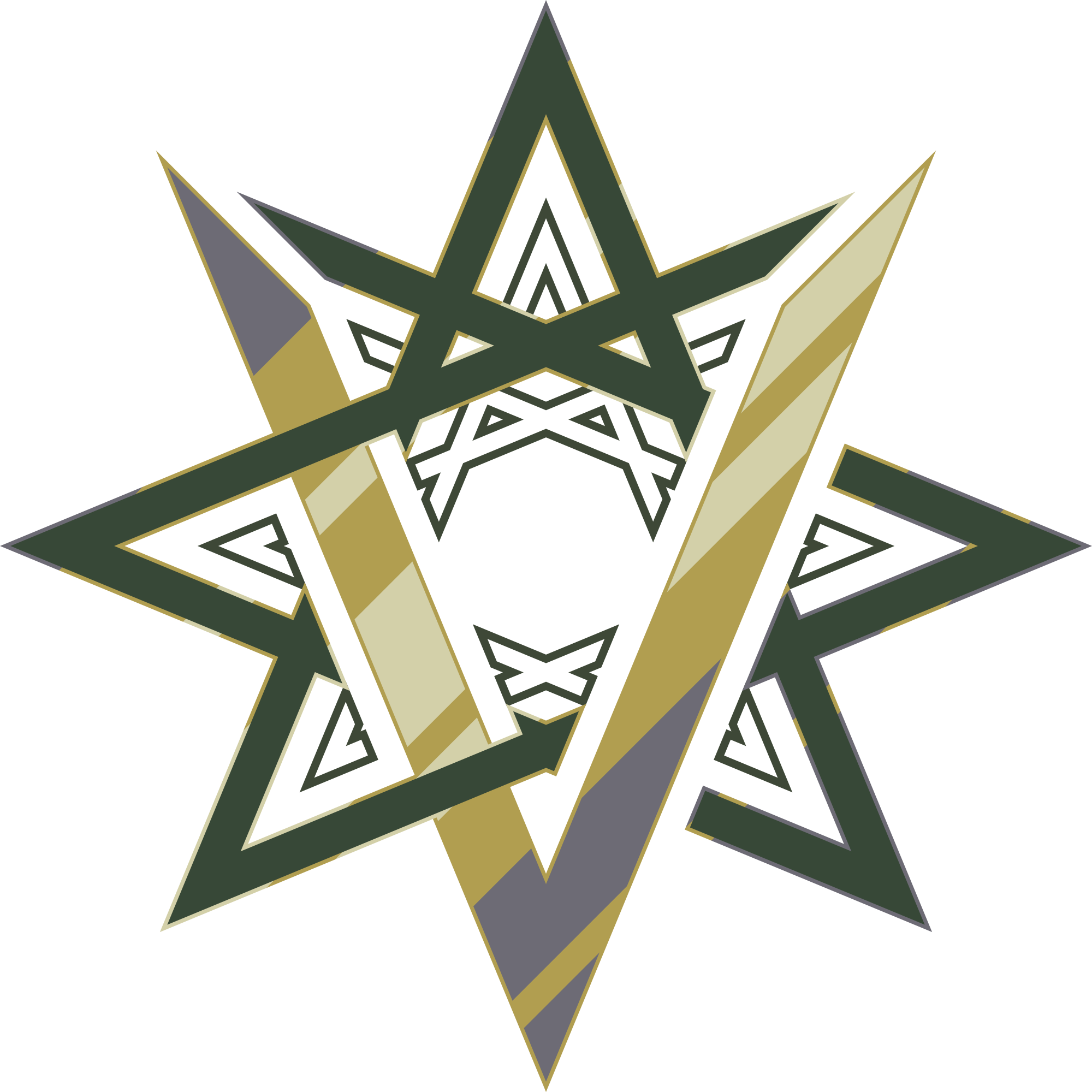 vanguard%20transparent.png