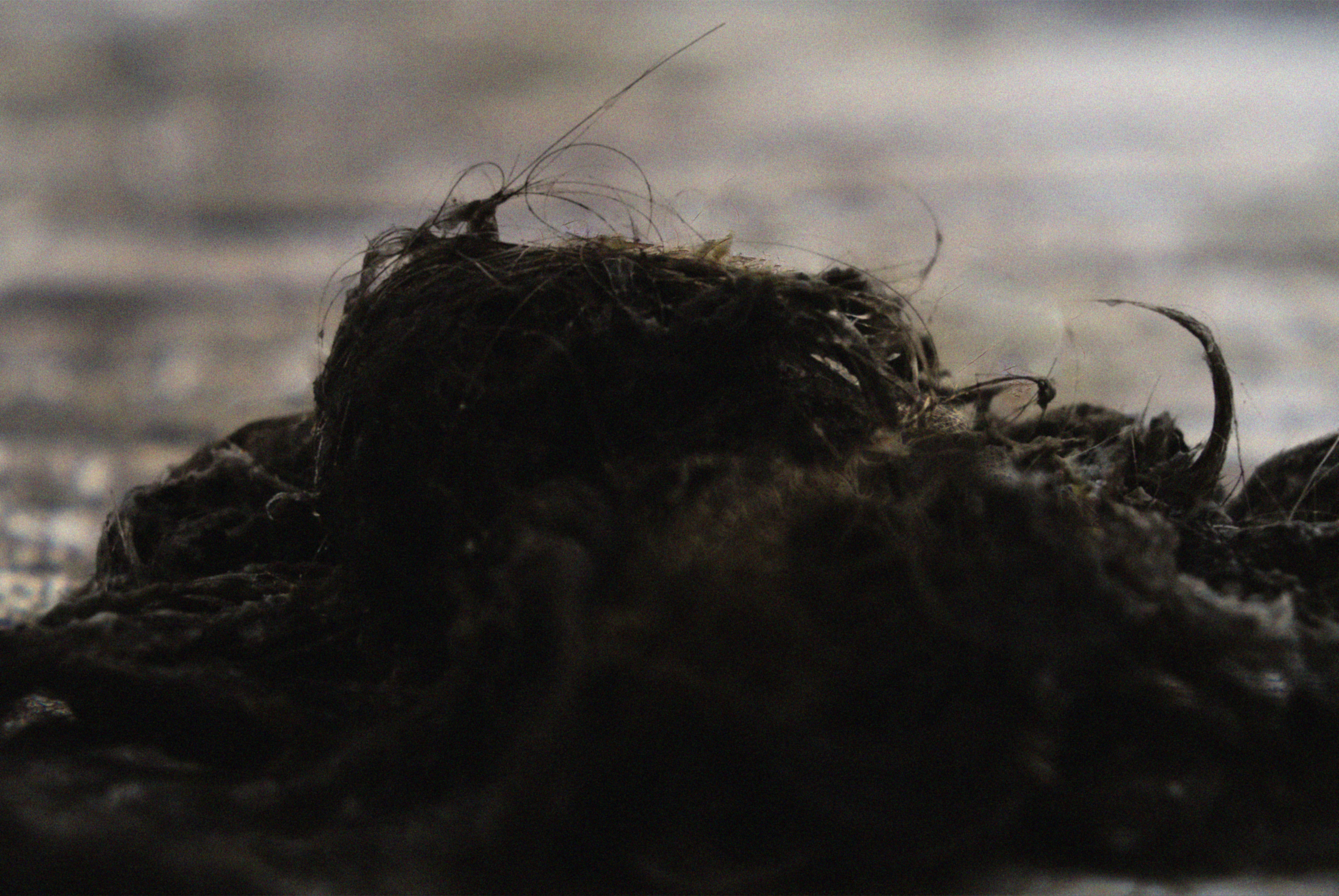 darkhairclump.jpg