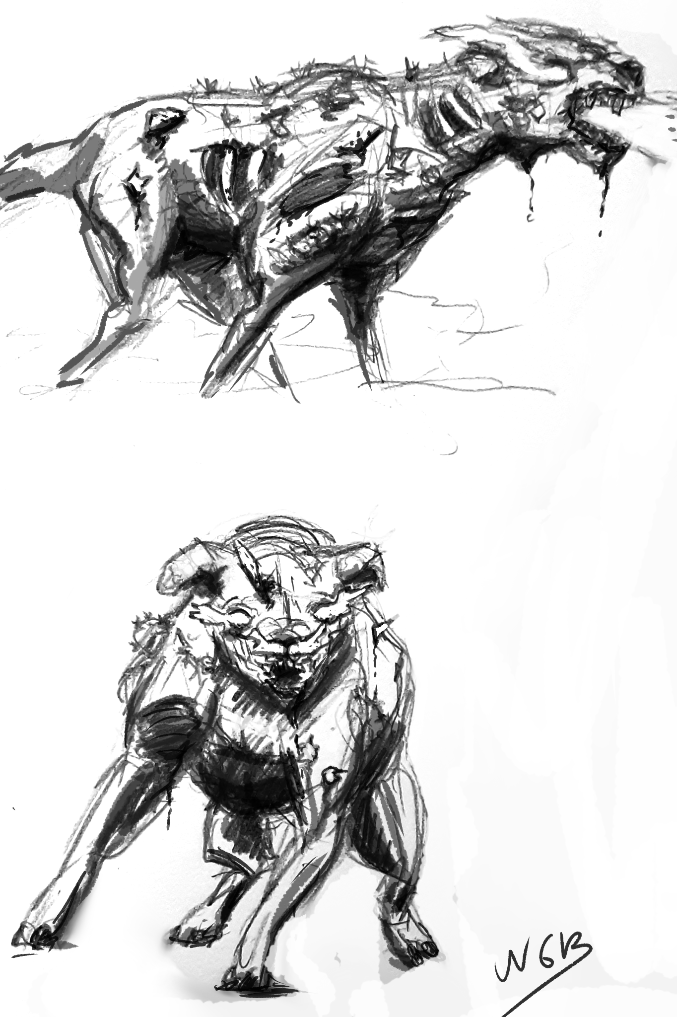 Two black-and-white sketches of a dog of war, the top depicting it firing its shotgun maw, the bottom showing it staring at the reader. In both sketches, it is a dog-like creature with glowing eyes and skin with massive tears in it, exposing its ribs and muscles.