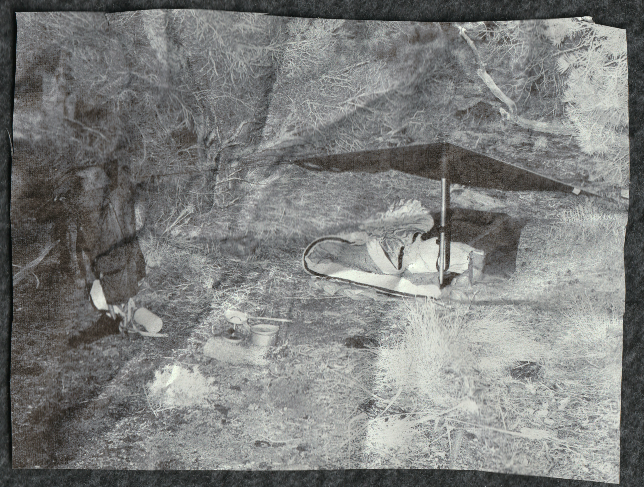 camp2.png