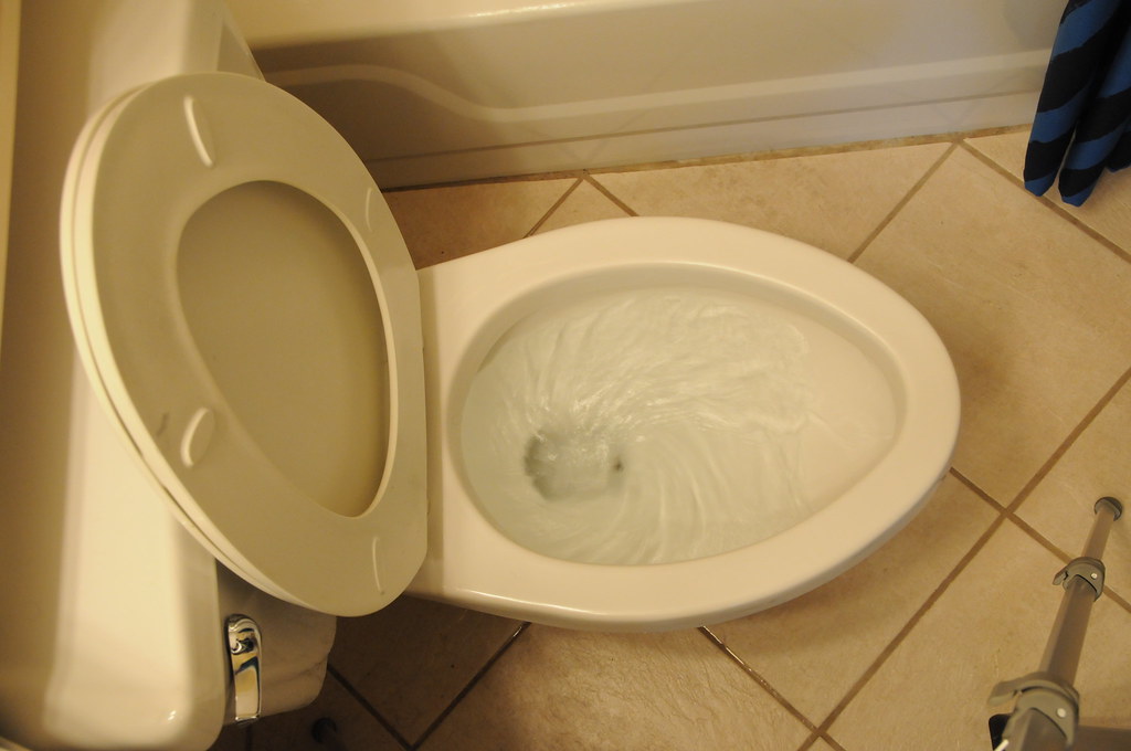 flush.png