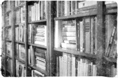 Bookshelf.jpg