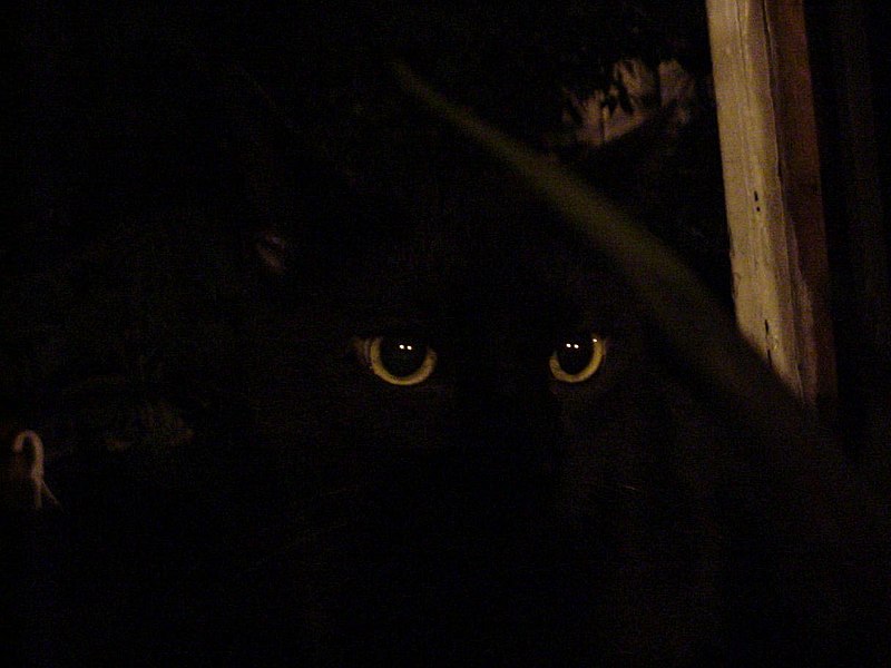 midnight.jpg