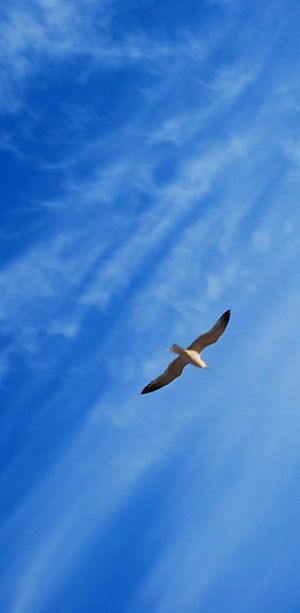 Sky.jpg