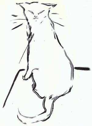 Cat085.jpg