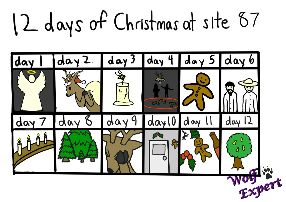12dayswolfexpert.jpg